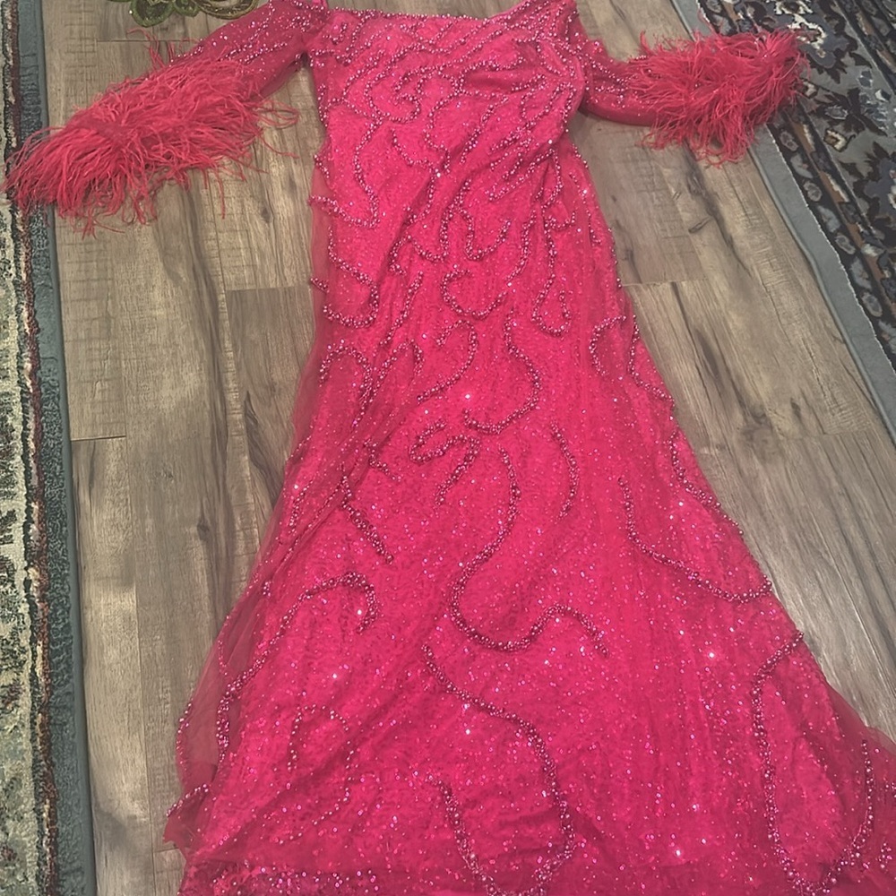 Elegant hot pink Feathered Gowned - Picture 8 of 8